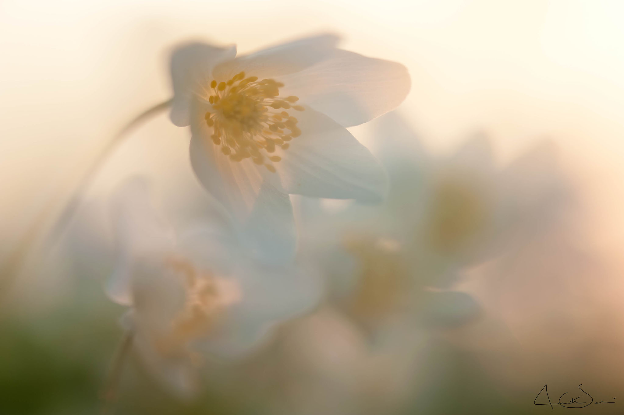 20110425.015FA